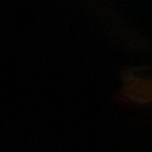 Meet your Posher, Cheyenne